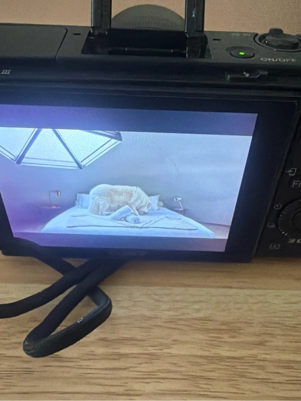 Sony Black Compact Digital Camera with Flip Screen